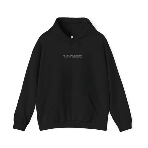 PAMIZHU Hoodie