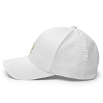 PAMIZHU Cap